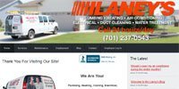 Laney's Inc.